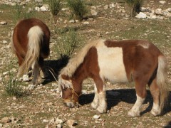 Koustenis Village — photo 6